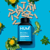 HUM Big Chill: presentación en caja resalta la marca y calidad.