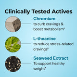 Ingredientes: algas marinas y forskohlii en Hum Counter Cravings.