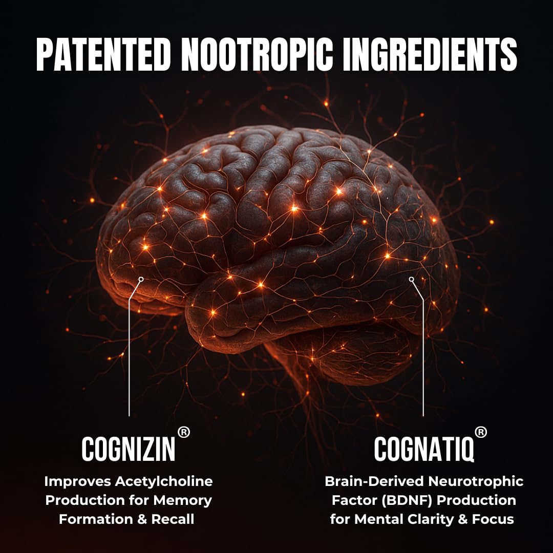 Humblroots Focus: melena de león, apoyo cognitivo natural.