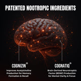 Humblroots Focus: melena de león, apoyo cognitivo natural.