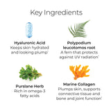 Ingredientes clave Hush & Hush: lista de componentes para cuidado de la piel.