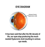Ambiente de escritorio con frasco HylaVision, ideal para cuidado ocular