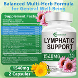 Hywebvctok mezcla herbal de 12 hierbas para apoyo natural al bienestar.