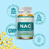 NAC de HZZYPLANT fórmula sin gluten para dietas