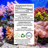 I Am Joy co. Ormus Ocean Nectar claridad mental para uso diario.