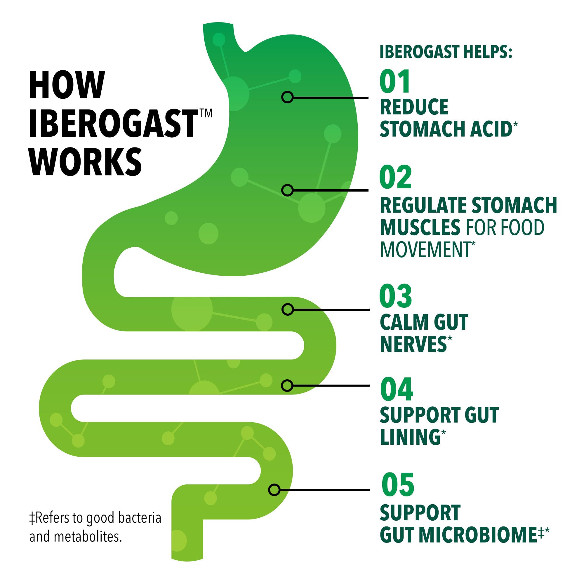 Iberogast cápsulas blandas, dosis diaria: forma cómoda de cuidar la digestión.