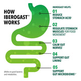 Iberogast cápsulas blandas, dosis diaria: forma cómoda de cuidar la digestión.
