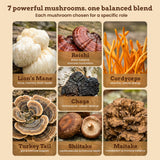 iFungi Life Force 7: extractos de fruto hongo para soporte natural