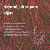 Igennus Microalga pura en cápsula suave: ingrediente activo de alta pureza.