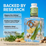 Clean Nutraceuticals GI Defend: Suplemento Digestivo Todo-en-Uno con Psyllium, Corteza de Olmo Resbaladizo y Probióticos