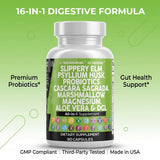 Clean Nutraceuticals GI Defend: Suplemento Digestivo Todo-en-Uno con Psyllium, Corteza de Olmo Resbaladizo y Probióticos