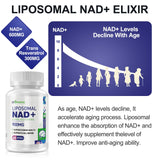 inGreens Resveratrol antioxidante para vitalidad y bienestar