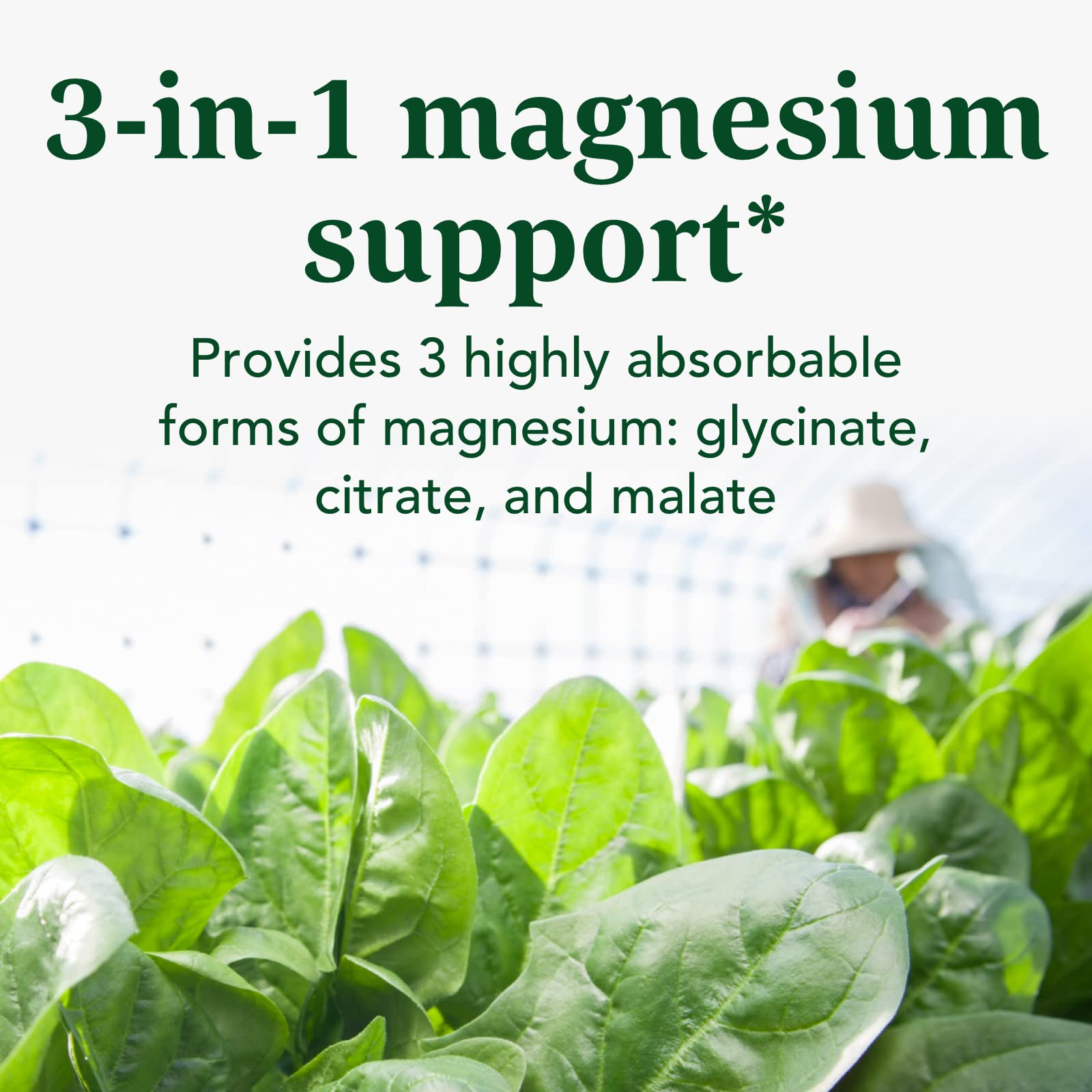 INNATE Magnesium 300 mg: tres formas de magnesio para mejor absorción.