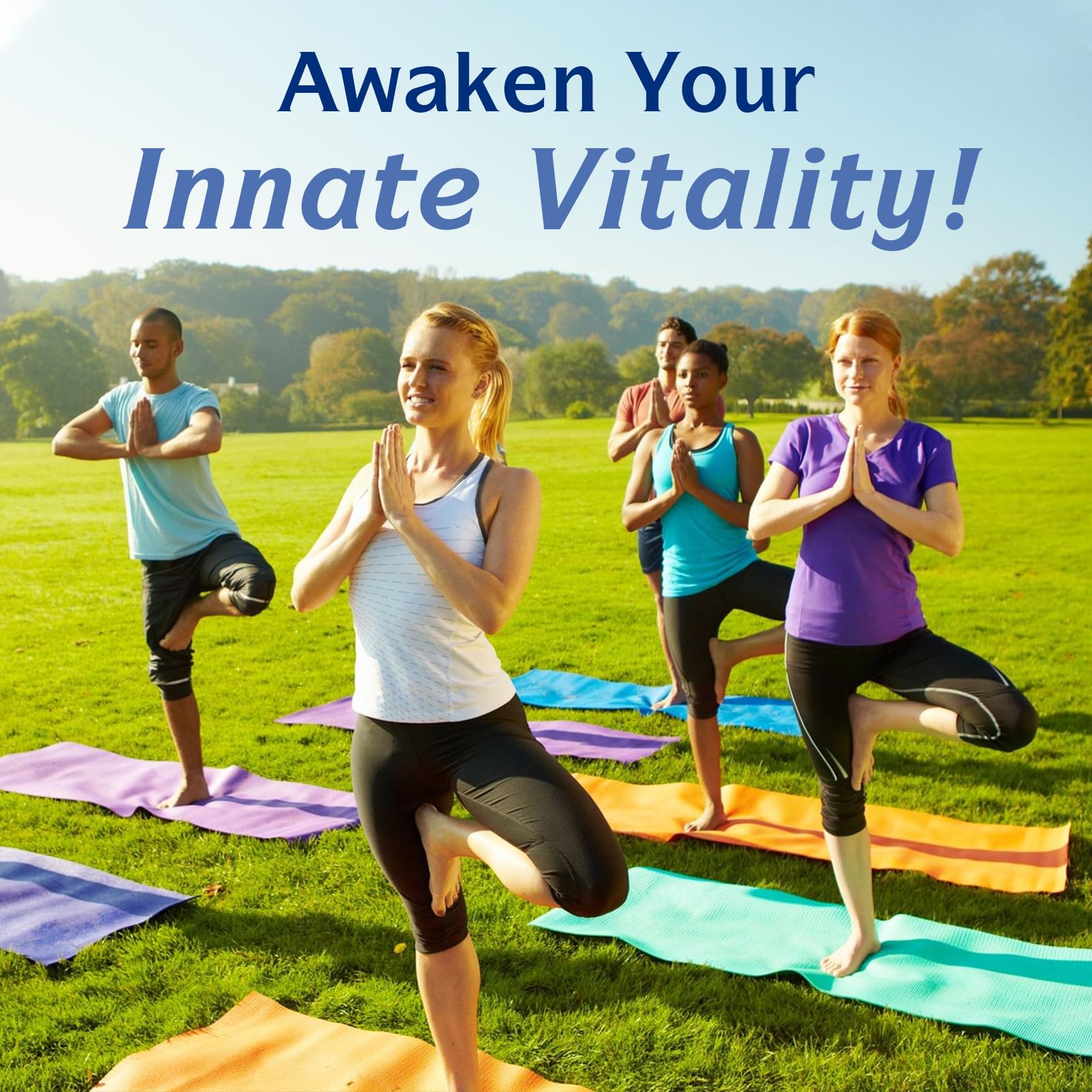 Innate Vitality empaque de la caja del producto para almacenamiento fácil.