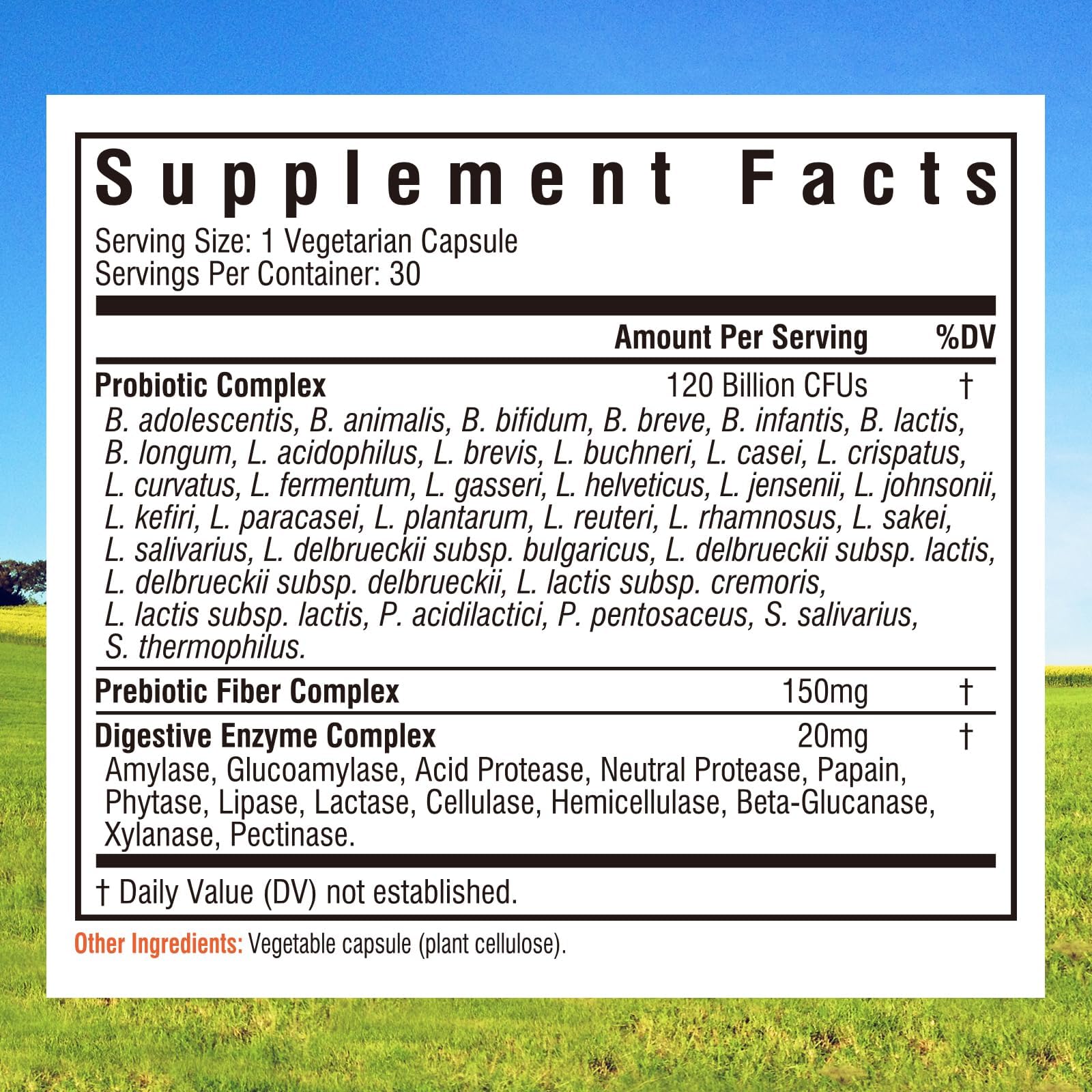 Innate Vitality Probiotics: cápsulas fáciles de tragar para uso diario