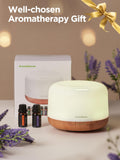 Conjunto de aceites esenciales InnoGear de 10 ml para difusor
