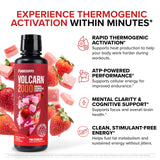 InnoSupps Volcarn 2000, composición L-Carnitina: apoyo energético y metabolismo.