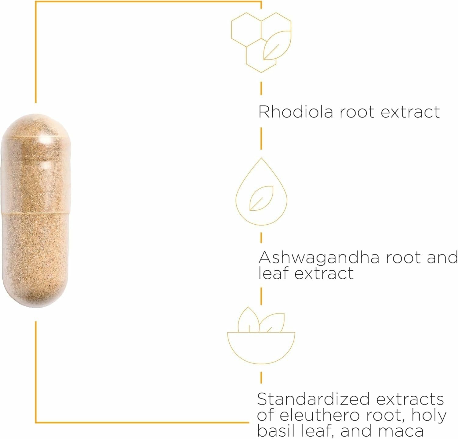 Integrative Therapeutics HPA Adapt etiqueta, ingredientes clave para el bienestar