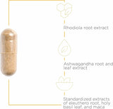 Integrative Therapeutics HPA Adapt etiqueta, ingredientes clave para el bienestar