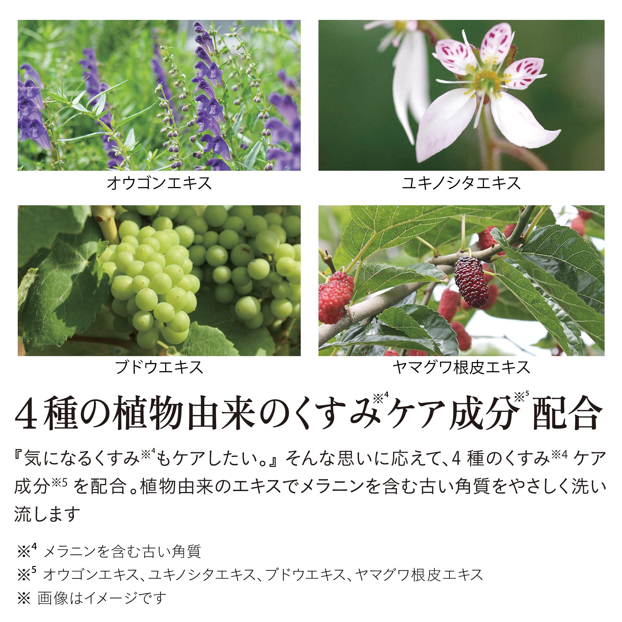Iroha Envase Japonés: diseño compacto y práctico para uso diario.