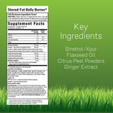 Irwin Naturals Stored-Fat Belly Burner, cápsulas líquidas suaves, fáciles de ingerir a diario