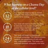 Isagenix Cleanse for Life, sistema detox, opción diaria para el cuidado personal.