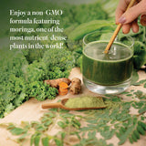 Isagenix Greens mezcla-vegetales-no-gmo, fuente conveniente de nutrientes diarios.
