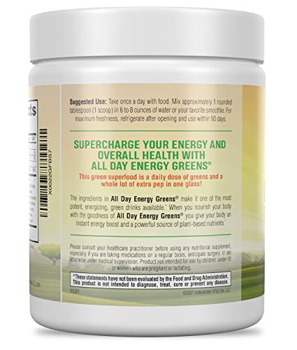 IVL Energía Verde Todo el Día polvo, forma rápida de nutrirse.
