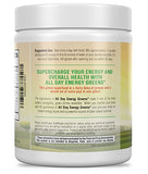 IVL Energía Verde Todo el Día polvo, forma rápida de nutrirse.
