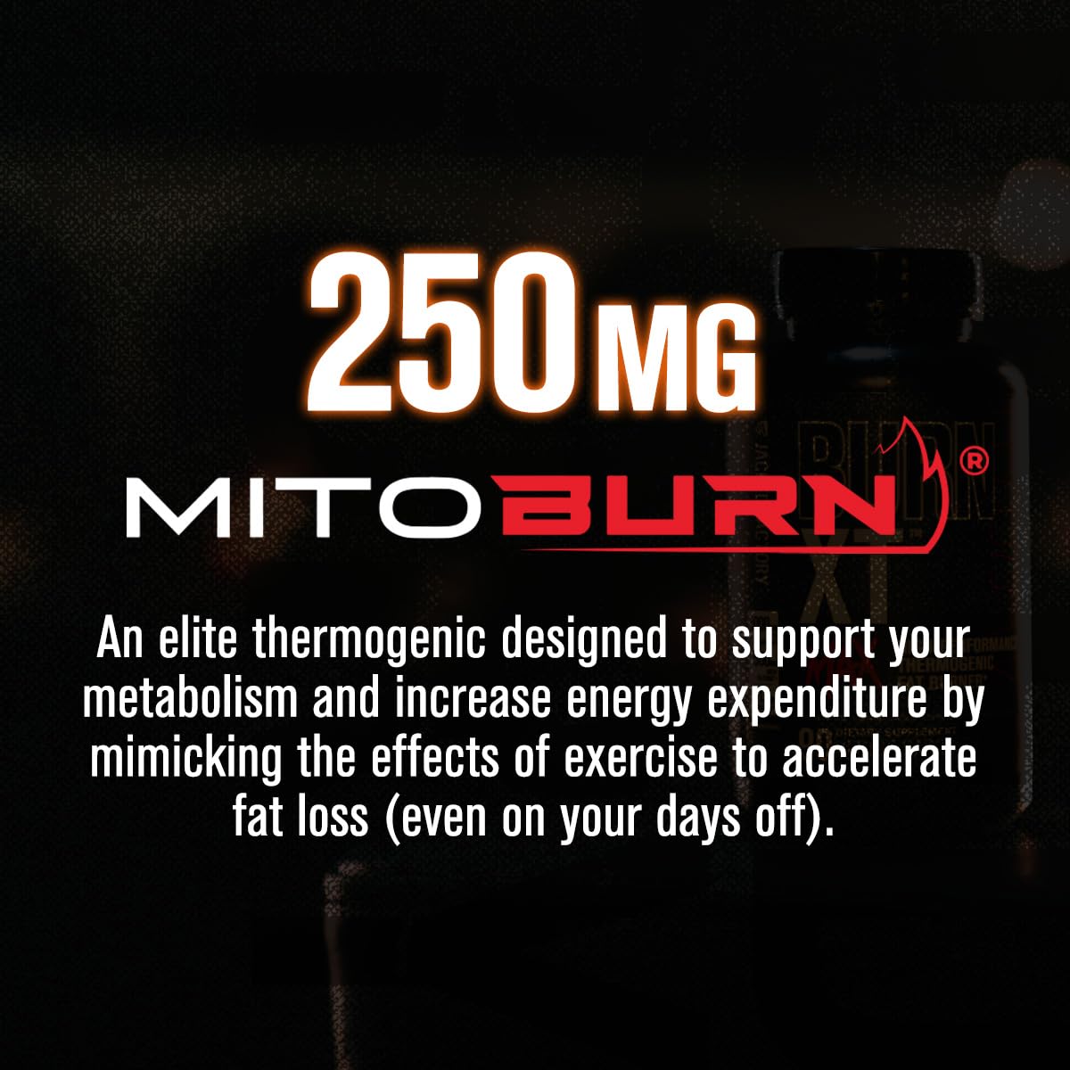 Etiqueta de Burn-XT Max destacando PurCaf y MitoBurn para energía sostenida.