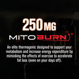 Etiqueta de Burn-XT Max destacando PurCaf y MitoBurn para energía sostenida.