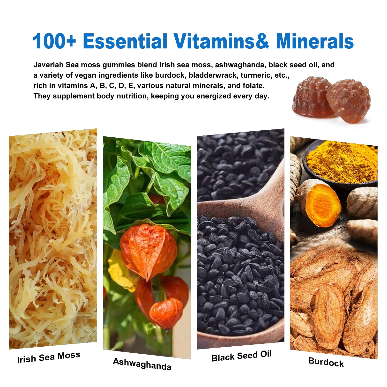 Gomitas Javeriah con clorofila marina para apoyo antioxidante