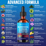 JB Wellness Co equinacea, fortalecimiento inmunitario potencial para la vida diaria.