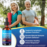 JB Wellness Co Gotas de Diente de León para apoyo digestivo suave.
