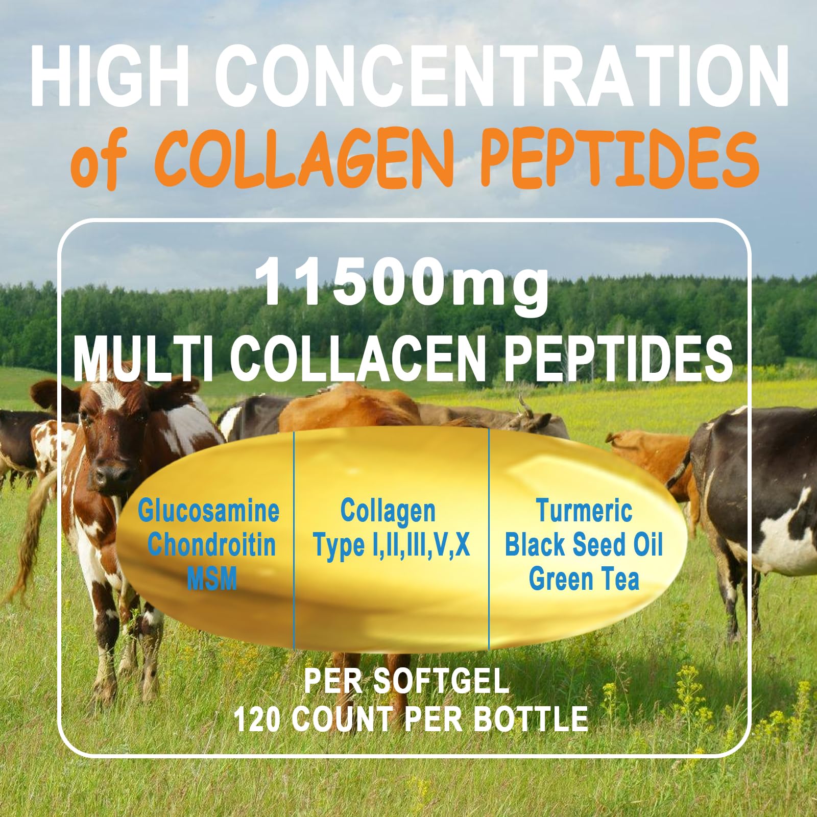 JINGYAT Colágeno Multi ingredientes, antioxidantes y enzimas para absorción