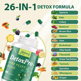 Mezcla de plantas 26en1 para bienestar diario