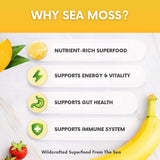 Joy Sea Moss gel-uso-diario-versatil: añade a bebidas o avena.