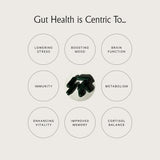 Empaque trasero con detalles de ingredientes y beneficios