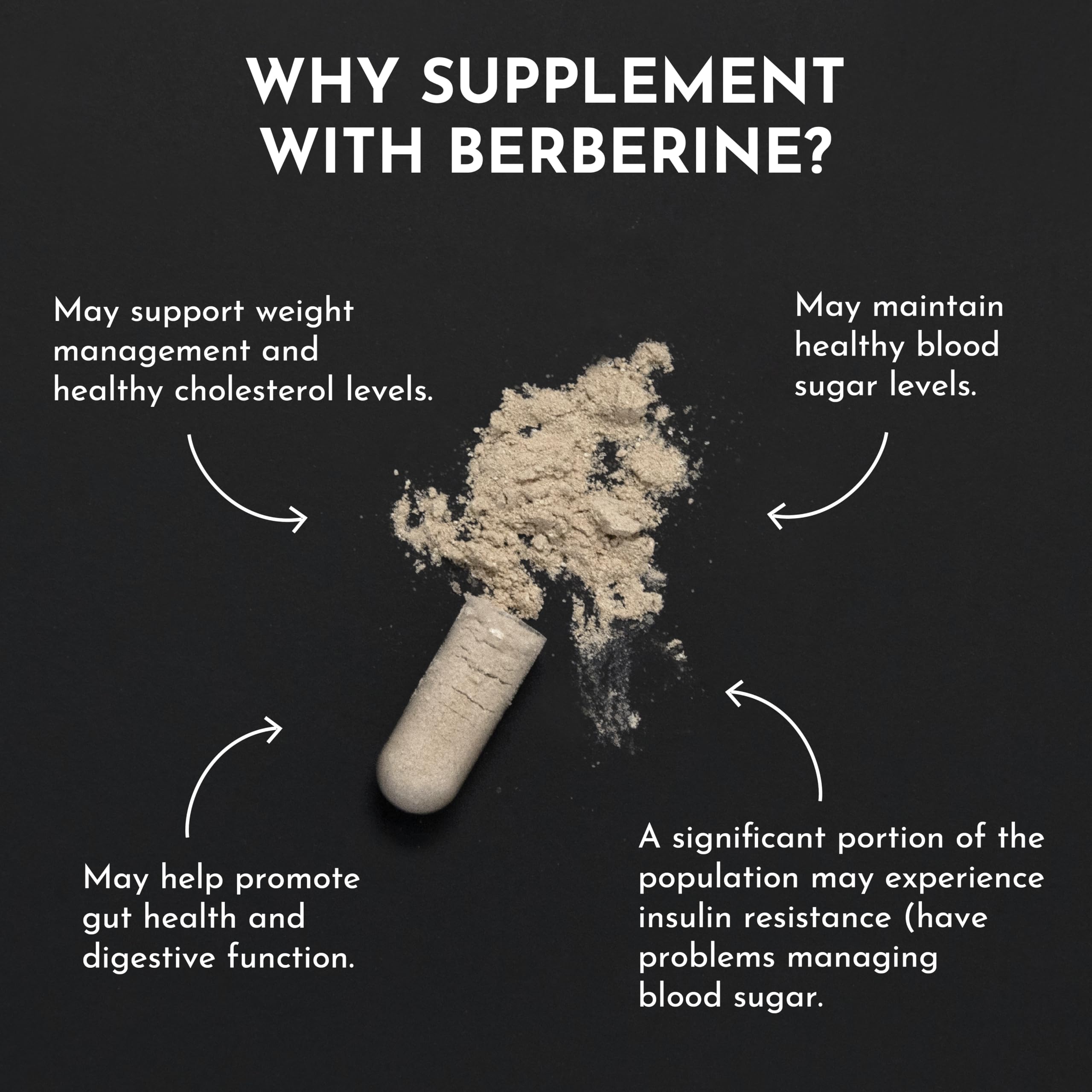 Just Ingredients Berberina con Chromax para balance metabólico
