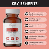 JUST INGREDIENTS NAD+ ingrediente-nicotinamide-riboside para energía celular.