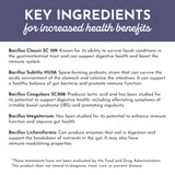 JUST INGREDIENTS sabor limón y sauco, sin azúcares artificiales.