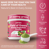 Campo de Verdes: shake rápido con sabor mixto de frutos rojos.