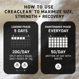 Kaged CreaClear: tecnología CreaClear que mejora absorción y reduce molestias.