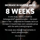 BioPerine en Ferodrox para mejor absorción de nutrientes