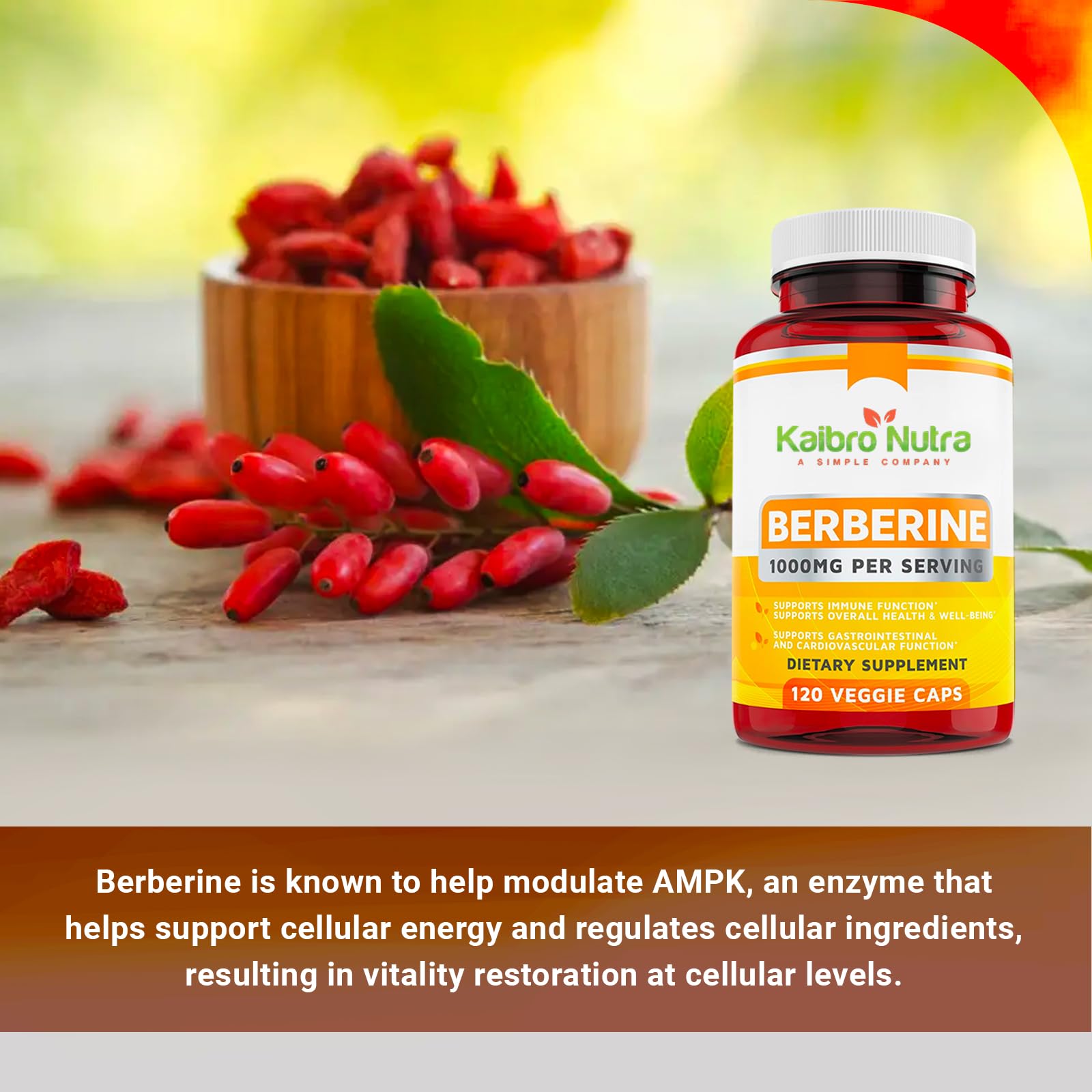 Kaibro Nutra Berberina 1000mg - cápsulas en mano para dosis diaria.