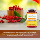 Kaibro Nutra Berberina 1000mg - cápsulas en mano para dosis diaria.