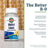 KAL Folato para metilación y desarrollo fetal.