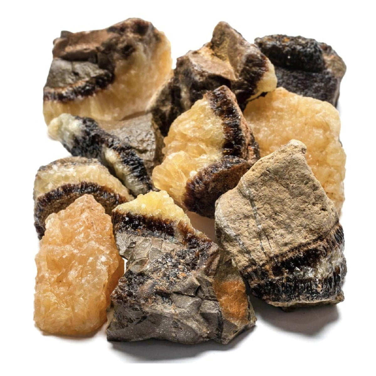 Piedras septarianas crudas de KALIFANO, diez unidades para colección.