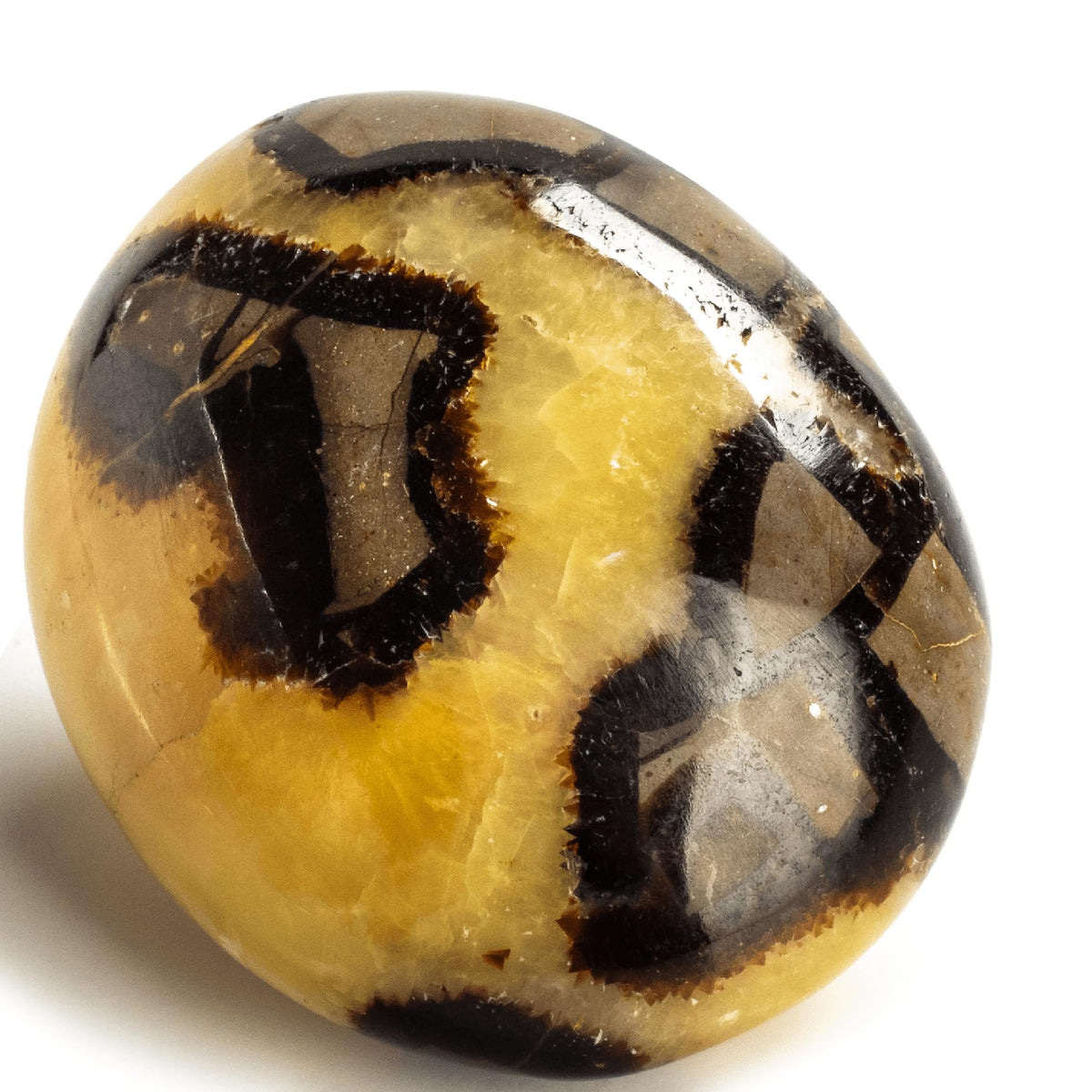 Kalifano Septarian: piedra palma con energía calmante para el hogar