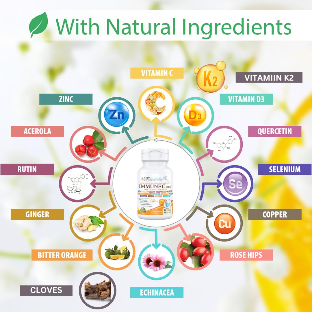 Ingredientes clave de Immune C Plus para soporte antioxidante diario